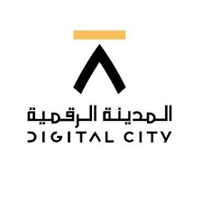 Digital City
